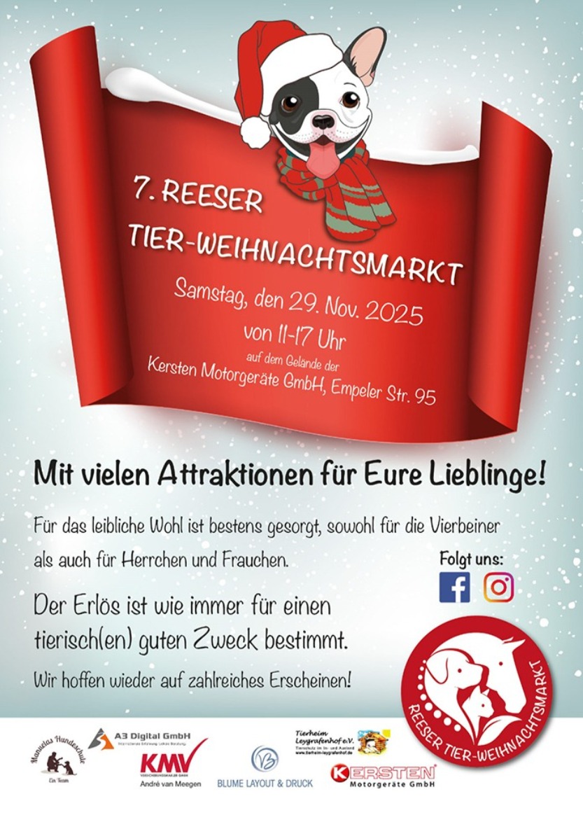 zur offiziellen Seite